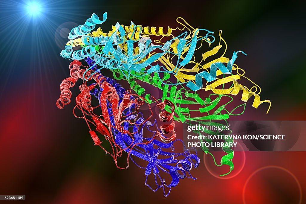 Acetylcholine receptor, illustration