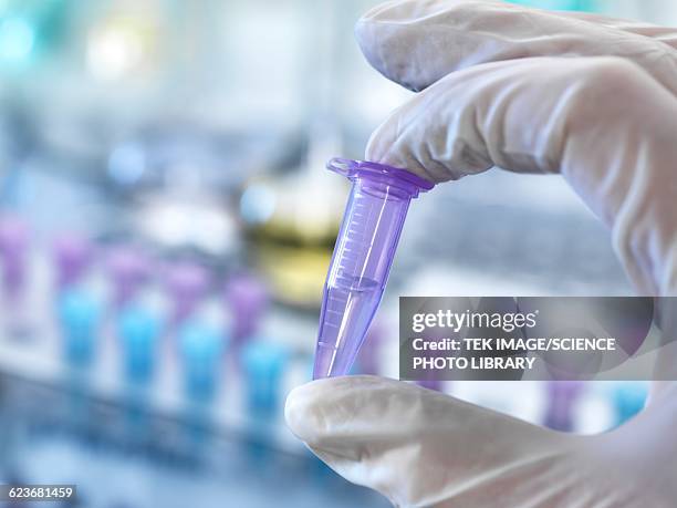 chemical research - putting on rubber gloves stock illustrations