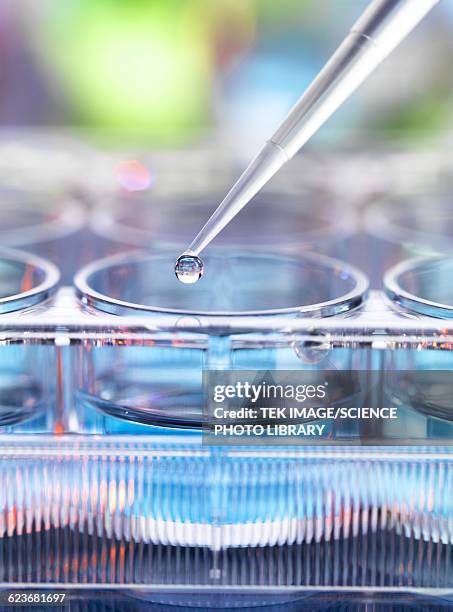 genetic research - pipette stock illustrations