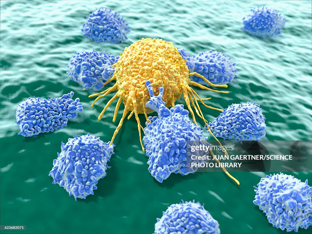 Lymphocytes attacking a cancer cell
