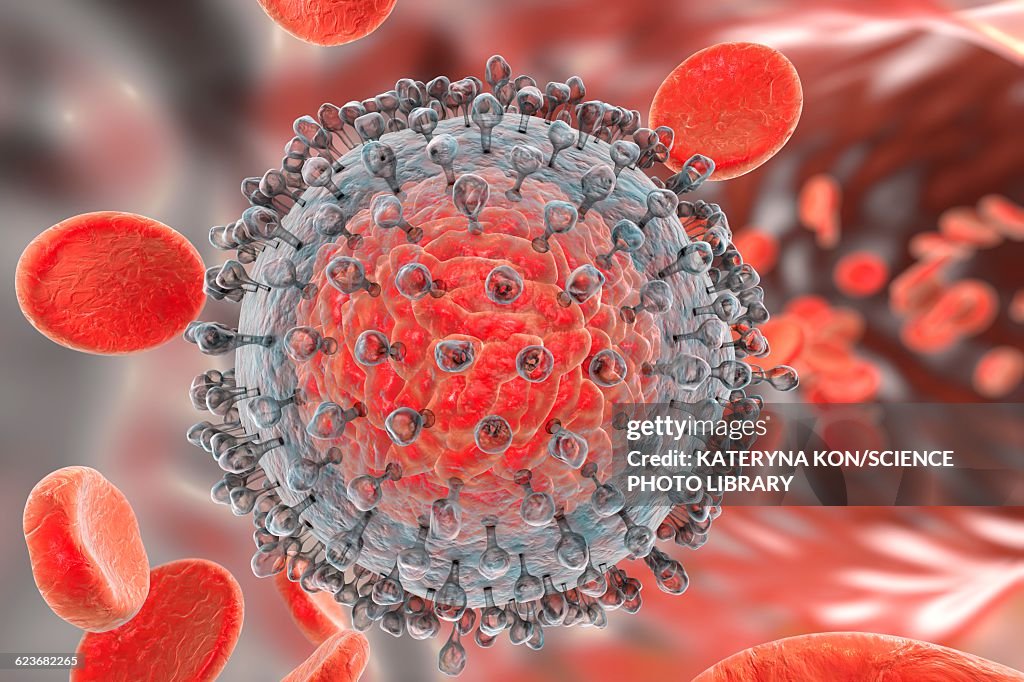 Hcv Pic Hepatitis C Virus Illustration High-Res Vector Graphic - Getty Images
