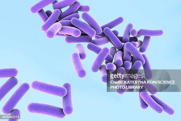 pseudomonas bacteria, illustration - bacteria cultures stock illustrations