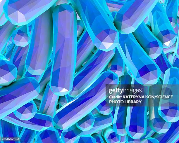 rod-shaped bacteria, illustration - shigella stock illustrations