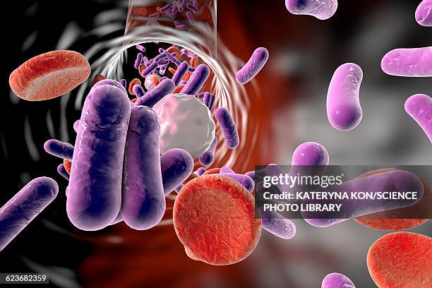 bacteria in blood, illustration - klebsiella stock illustrations