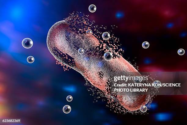 silver nanoparticles destroying bacterium - nanoparticle stock illustrations