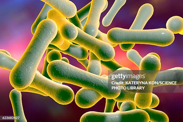 corynebacterium diphtheriae, illustration - corynebacterium diphtheriae stock illustrations