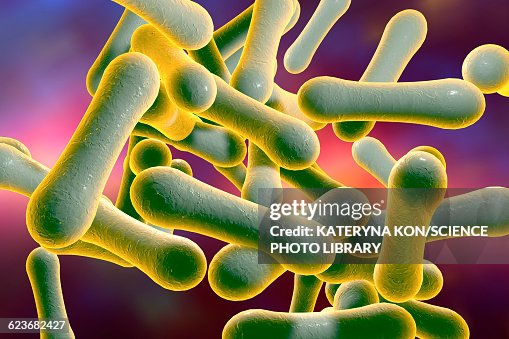 Corynebacterium diphtheriae, illustration Corynebacterium diphtheriae, illustration