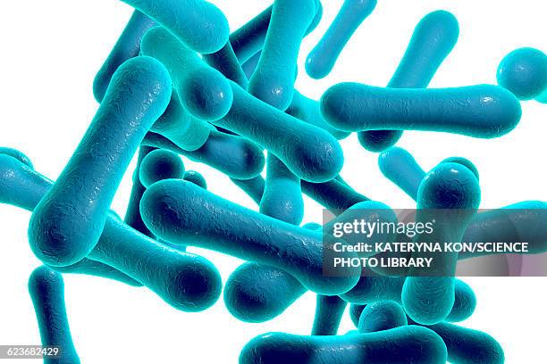 corynebacterium diphtheriae, illustration - diphtheria stock illustrations