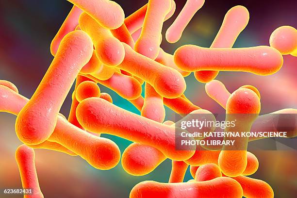 corynebacterium diphtheriae, illustration - corynebacterium diphtheriae stock illustrations