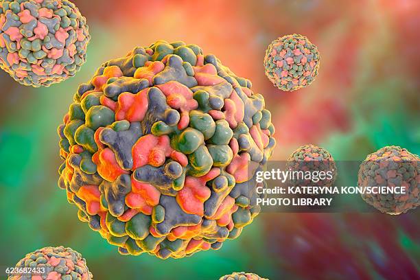 group b coxsackievirus, illustration - enterovirus stock-grafiken, -clipart, -cartoons und -symbole