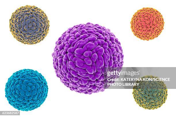 zika viruses, illustration - virus zika stock illustrations