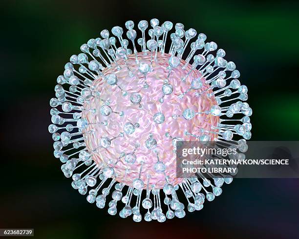 zika virus, illustration - micrograph zika virus stock illustrations