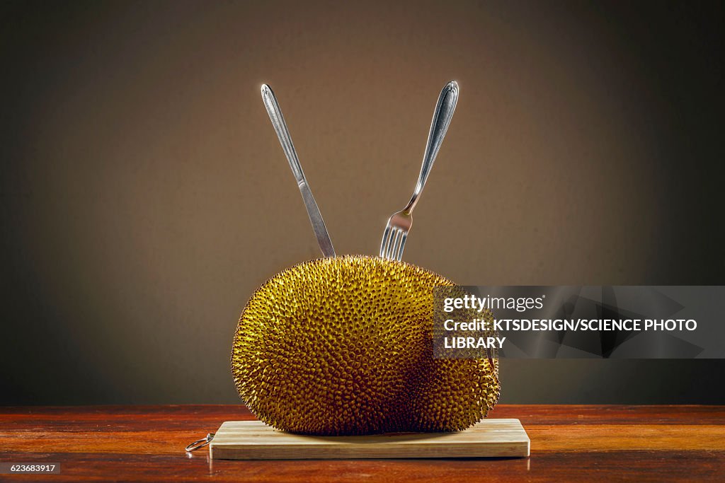 Jackfruit on table