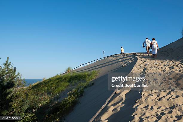 duna de parnidis en curonian spit en las afueras de nida, lituania - neringa fotografías e imágenes de stock