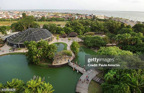 mangal das garças in belem,amazon - belem stock pictures, royalty-free photos & images