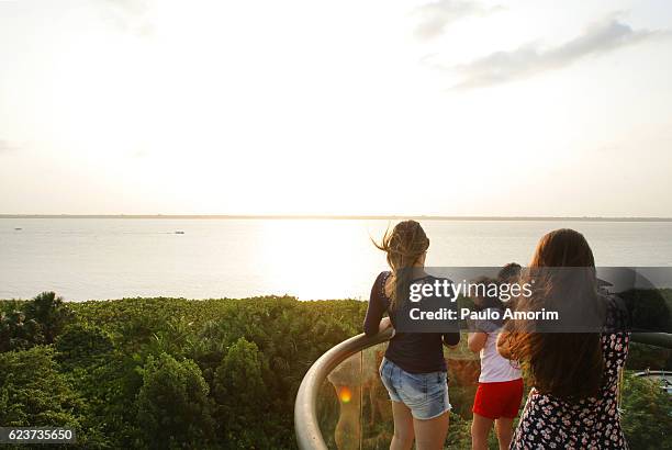 people enjoying aerial view in amazon  rainforest - amazon jungle girl stockfoto's en -beelden