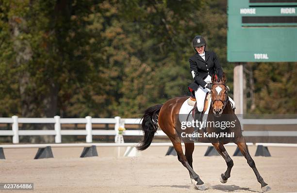 prova di dressage - evento equestre foto e immagini stock