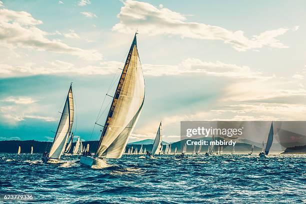 segelregatta am frühen morgen - segelschiff stock-fotos und bilder