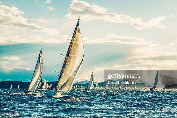 regata de vela a primera hora de la mañana - sailboat fotografías e imágenes de stock