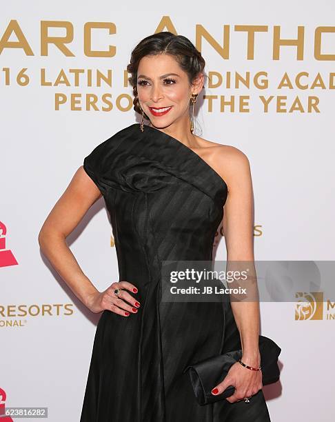 Lourdes Stephen attends the 2016 Latin GRAMMY Person of the year honoring Marc Anthony on November 16, 2016 in Las Vegas, California.