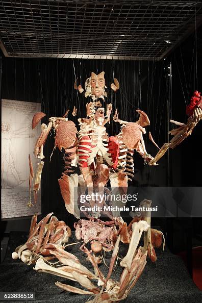 Plastinarium Celebrates 10th Anniversary Plastinarium Celebrates 10th Anniversary