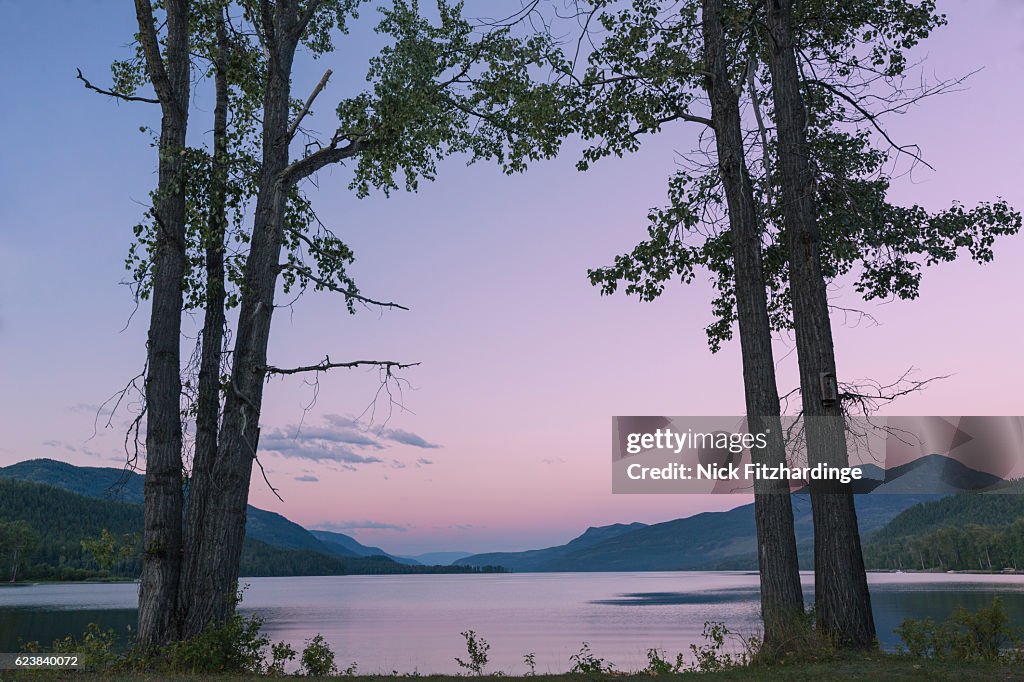 Trees framing a sunset at Mahood Lake, Wells Gray Provincial Park, British Columbia, Canada