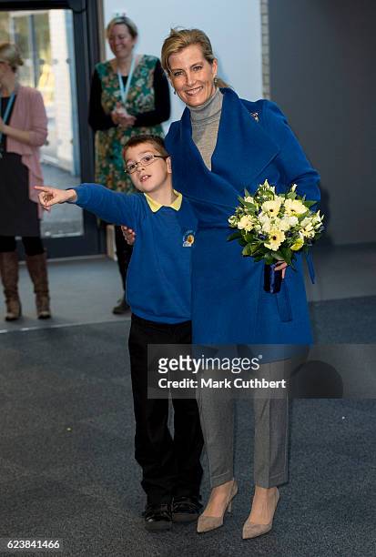 Sophie, Countess of Wessex opens Portesbery School on November 17, 2016 in Camberley, England.