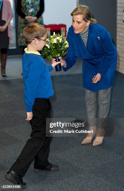 Sophie, Countess of Wessex opens Portesbery School on November 17, 2016 in Camberley, England.