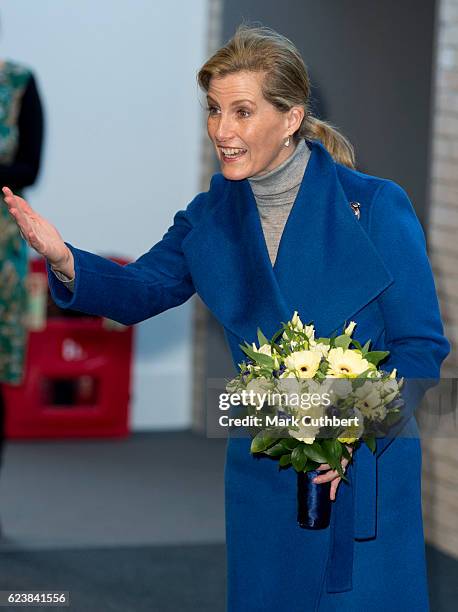 Sophie, Countess of Wessex opens Portesbery School on November 17, 2016 in Camberley, England.