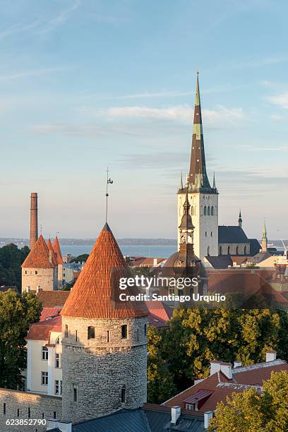 tallinn old town skyline - tallin fotografías e imágenes de stock