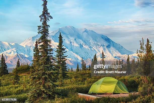 camping in denali national park, alaska, usa - denali national park foto e immagini stock