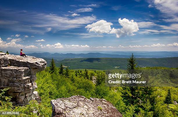 female hiker at dolly sods wilderness, west virginia, usa - west virginia scenic stock pictures, royalty-free photos & images