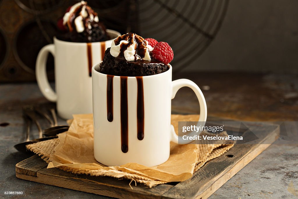 Chocolate cake in the mug