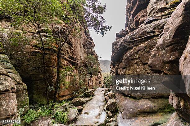 silent street, grampians national park - canyon stock pictures, royalty-free photos & images