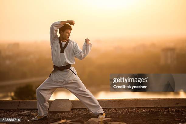 artiste martial ceinture noire pratiquant le karaté au coucher du soleil. - arts martiaux photos et images de collection