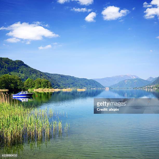lake ossiach, austria - carinthia 個照片及圖片檔