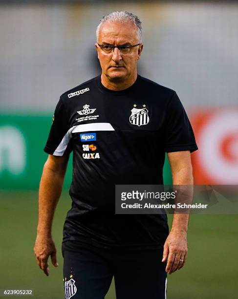 Dorival Junior, head coach of Santos in action during the match between Santos and Vitoria for the Brazilian Series A 2016 at Vila Belmiro stadium on...