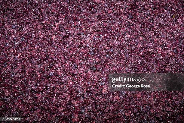 Left over grape seeds and skins head to a compost pile as viewed on October 13 near Santa Rosa, California. After a relatively normal rainy season,...