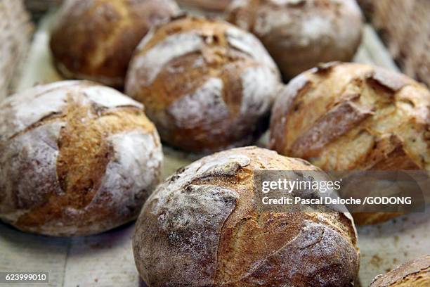 fresh loaves of bread - pasticceria foto e immagini stock