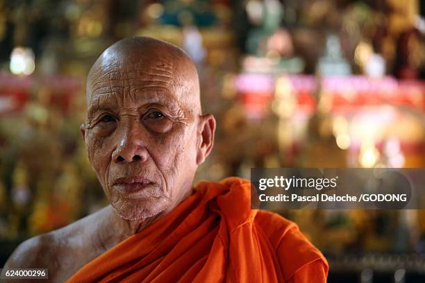 wat si muang ( simuong) buddhist temple - sagesse stock pictures, royalty-free photos & images