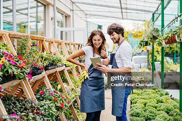 couple of gardeners with digital tablet - garden center stock pictures, royalty-free photos & images