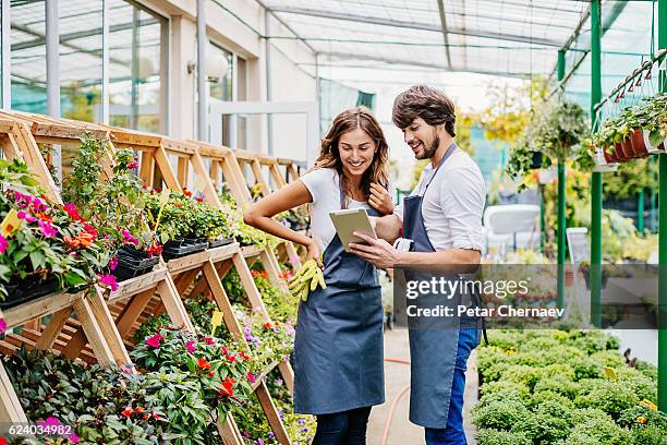 couple of gardeners with digital tablet - companion planting stock pictures, royalty-free photos & images