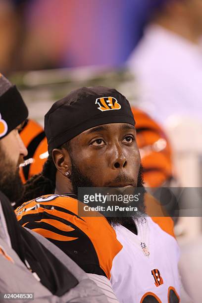 Defensive End Wallace Gilberry of the Cincinnati Bengals follows the action against the New York Giants in the game at MetLife Stadium on November...
