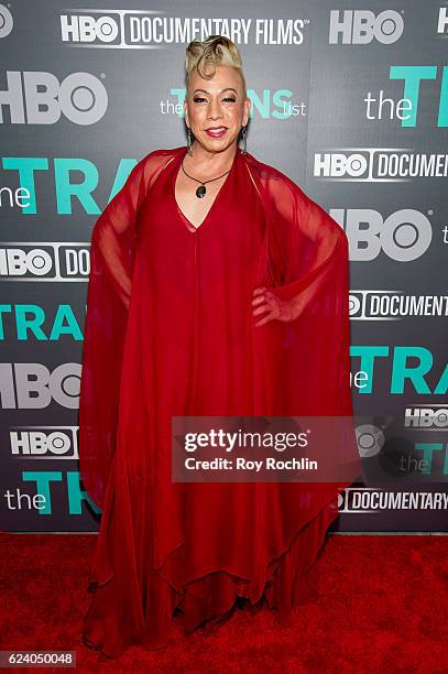 Bamby Salcedo attends "The Trans List" New York Premiere at The Paley Center for Media on November 17, 2016 in New York City.