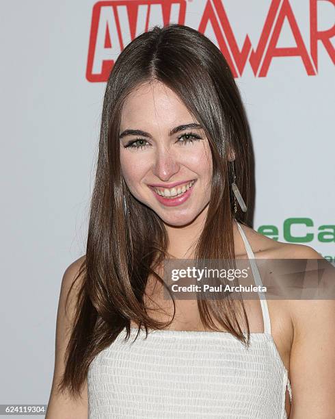 Actress Riley Reid attends the 2017 AVN Awards nomination party at Avalon on November 17, 2016 in Hollywood, California.