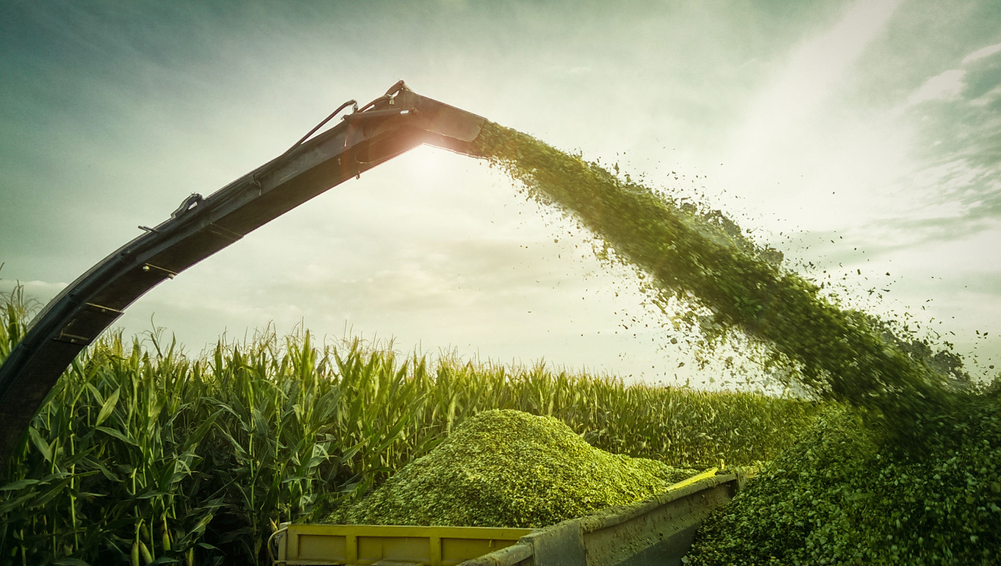 forage harvester