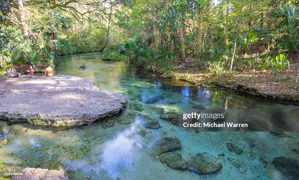 Wading in Clear Spring in Florida