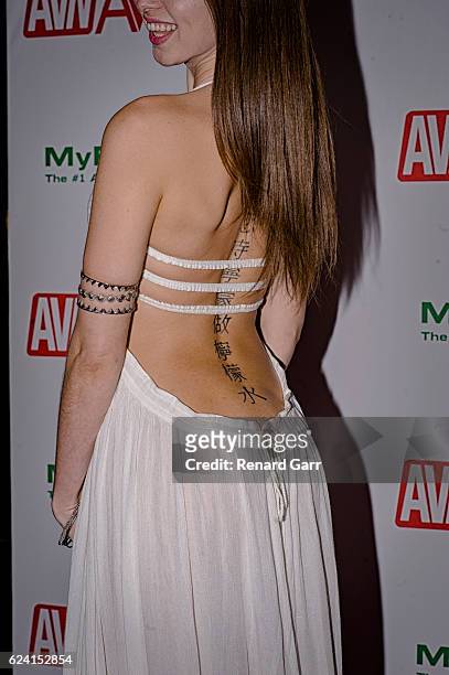 Actress Riley Reid arrives for the 2017 AVN Nomination Partyat Avalon at Avalon on November 17, 2016 in Hollywood, California.
