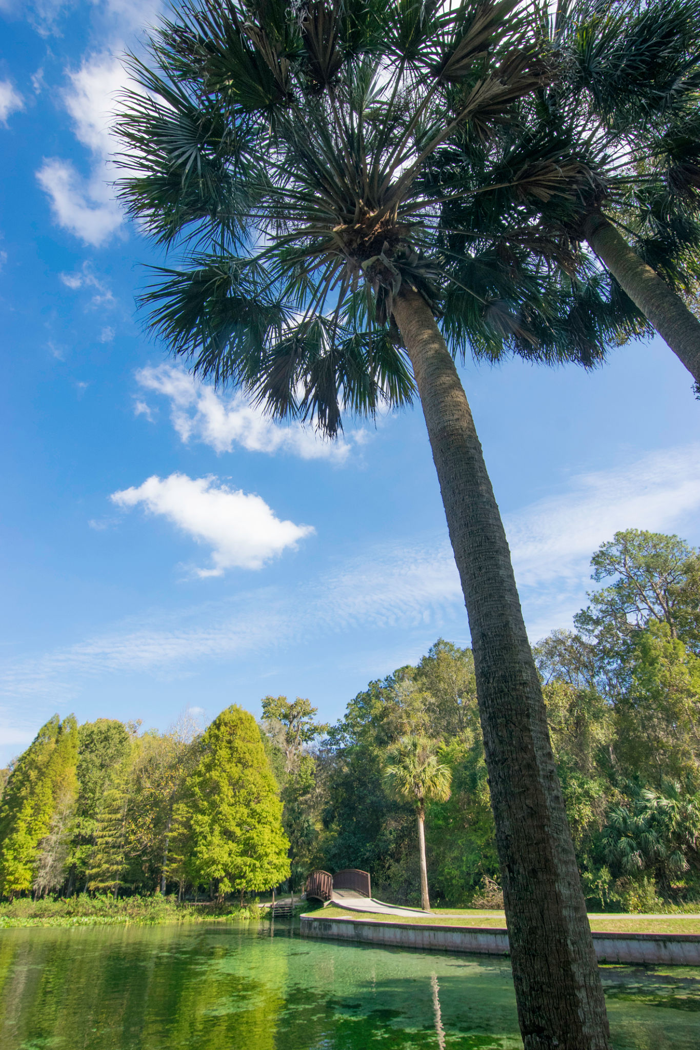 orlando gardens