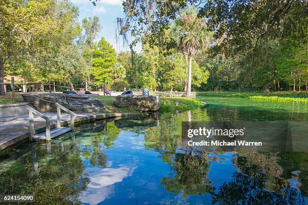 Spring Water From Rocks Spring Water Rocks Photos and Premium High Res Pictures - Getty Images